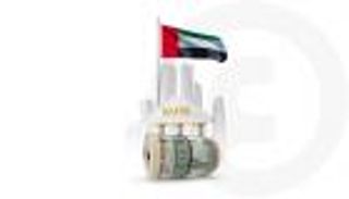 مصرف الإمارات المركزي: الودائع شبه النقدية تتجاوز التريليون درهم
