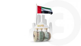 مصرف الإمارات المركزي: الودائع شبه النقدية تتجاوز التريليون درهم 