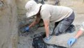 أدغال أفريقيا تكشف عن أقدم "هيكل خشبي".. عمره نصف مليون سنة