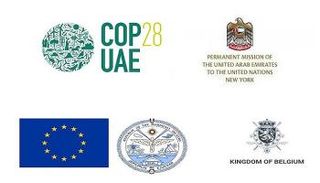 انعقاد الجلسة بدعوة من الإمارات ورئاسة COP28 وأطراف أخرى