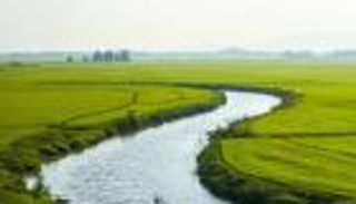 كيف يؤثر التغير المناخي على جودة مياه الأنهار؟