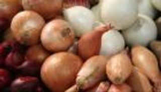 قرار  مفاجئ يربك تجار البصل في مصر.. هل تراجعت الحكومة عن حظر التصدير؟