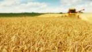 7 طرق لتعزيز الأمن الغذائي في مواجهة تغير المناخ