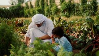 الاستدامة - أرشيفية