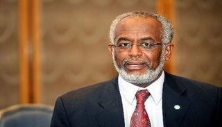 وزير خارجية السودان الأسبق علي كرتي - أرشيفية