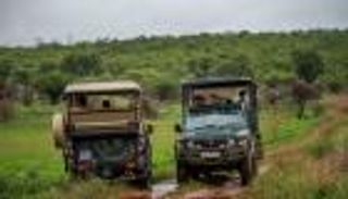 رحلات السفاري وحماية البيئة.. معادلة صعبة تحتاج لضوابط 