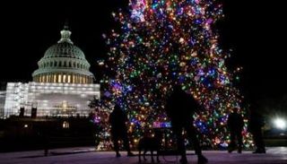 شجرة عيد الميلاد - أرشيفية