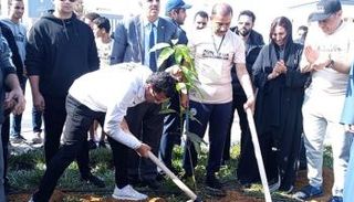 غرس أشجار الزيتون في العاصمة الإدارية الجديدة