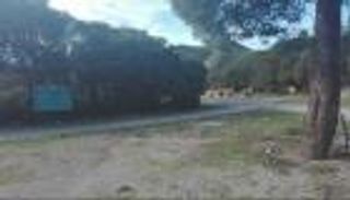 «بوقرنين» التونسية.. محمية ساحرة لعشاق السياحة البيئية 