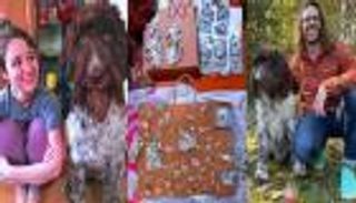 كلب يتناول أغلى وجبة في حياته.. 4 آلاف دولار