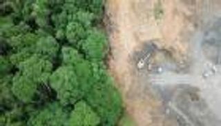 انتصارات بيئية في بلاد الأمازون.. تراجع إزالة رئة العالم للنصف