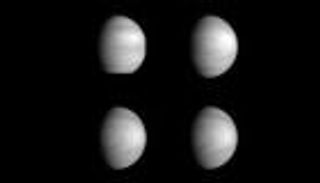 الكشف عن «الحلقة المفقودة».. كوكب الزهرة يبوح بسر جديد (خاص)