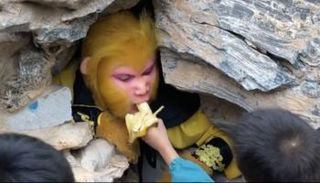 موظف أثناء أداء مهمته