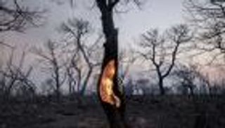 عام 2023 الأكثر سخونة على الإطلاق.. الاحترار المناخي يتفاقم