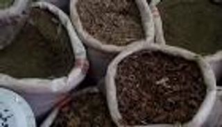 إقبال على التداوي بالأعشاب في الأردن.. ما علاقة كورونا؟