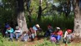 البطالة في 2024.. العالم ينتظر الأسوأ