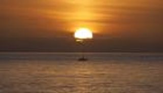 الغليان العالمي.. كيف نبه COP28 العالم من الخطر القادم؟