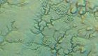 عمرها 2000 سنة.. اكتشاف بقايا مدينة مدفونة تحت غابات الأمازون