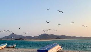 مضيق باب المندب