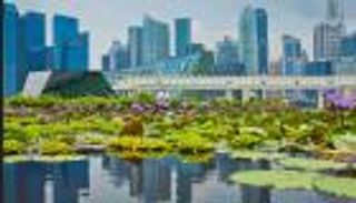 استدامة البناء.. سنغافورة تستكشف الحلول لمواجهة آثار تغير المناخ