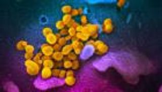 قاتل جديد لـ«كورونا الأسطح» يدخل المعركة