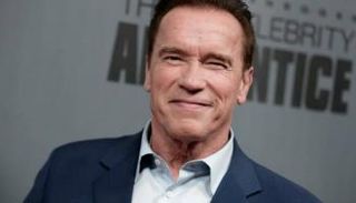 أرنولد شوارزينغر