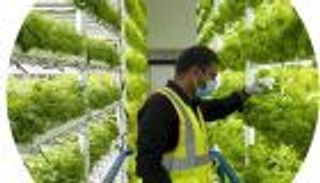 «دافوس» و«مبادرات محمد بن راشد آل مكتوم العالمية» يدعمان الأفكار المبتكرة بتقنيات الغذاء