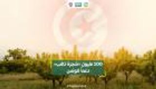 100 مليون «شجرة ذهب» دعماً لتونس