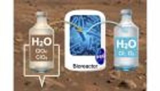 بكتيريا تفتح الطريق لاستيطان المريخ.. خطة لإزالة سموم مياه «الكوكب الأحمر»