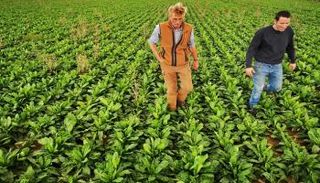 مزرعة خضراوات في أوروبا - رويترز