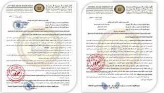 الوثيقتان المزورتان