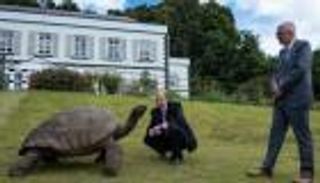 عمرها 192 عاما.. دوق إدنبرة يلتقي سلحفاة منذ عهد جورج السادس