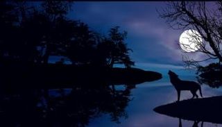 الأرض على موعد مع قمر الذئب