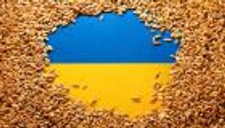 حبوب أوكرانيا.. سلة غذاء عالمية تبحث عن مسار آمن غير البحر الأحمر