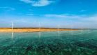 إنجازات تجسد ريادة فريدة.. الإمارات تحتفي بـ«اليوم العالمي للطاقة النظيفة»