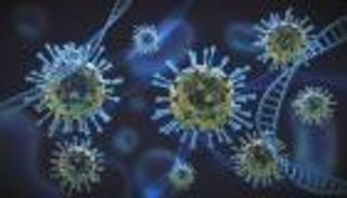 هل تدرب نزلات البرد المناعة على مواجهة كورونا؟ باحثة أمريكية تجيب (حوار)