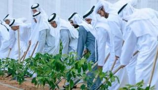 إطلاق البرنامج الوطني «ازرع الإمارات»