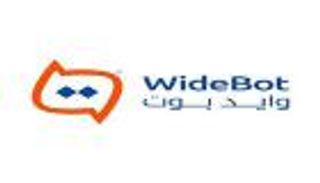 شركة مصرية تنافس ChatGPT.. «وايد بوت» أول منصة ذكاء اصطناعي باللغة العربية