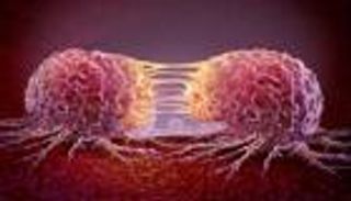 خلايا توقف انتشار السرطان.. اكتشاف يدعم العلاج المناعي