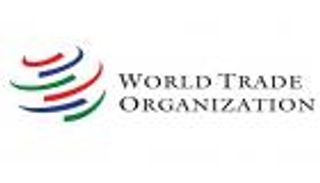 نائب مدير عام منظمة التجارة العالمية: استثمارات الإمارات تصنع الفارق في مستقبل الاقتصاد