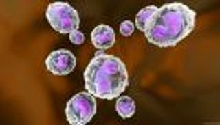 لماذا مناعة النساء أقوى من الرجال؟