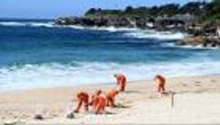 كإجراء احترازي.. كرات سوداء تغلق شواطئ سيدني