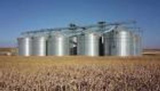 حقيقة انسحاب فيروم البولندية من مصر.. ما مصير صوامع تخزين القمح؟