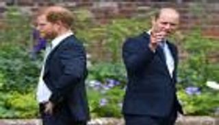 الأمير ويليام يمد غصن الزيتون لهاري.. ما علاقة الأميرة ديانا؟