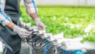 الزراعة المستدامة في الإمارات.. نقلة نوعية لتحقيق الاكتفاء الذاتي