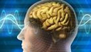 دراسة حديثة.. تعلم لغة جديدة يعزز من كفاءة الدماغ البشري