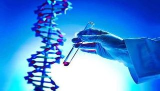 تخزين البيانات في الحمض النووي