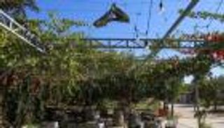 صناعة النبيذ في شرق لبنان تكافح للحياة وسط نيران الحرب