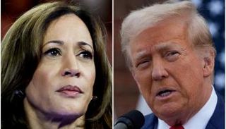 هاريس وترامب