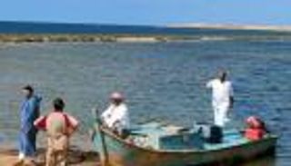 بيع بحيرة «البردويل» أهم مصادر الأسماك في مصر.. رد حكومي حاسم